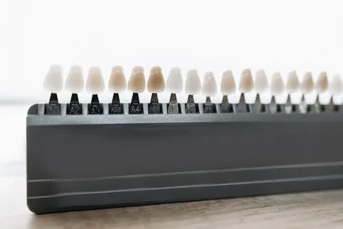 a palette of dental veneers